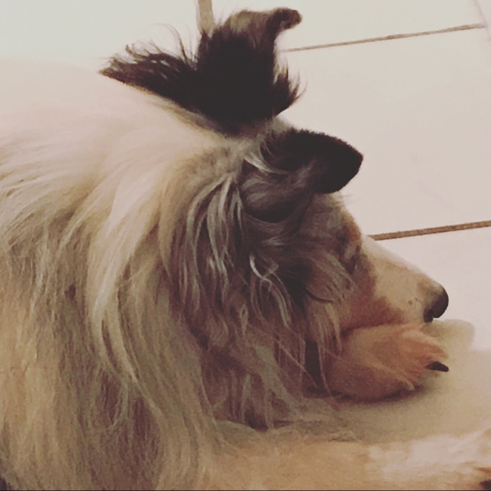 Meet your Posher, Alana